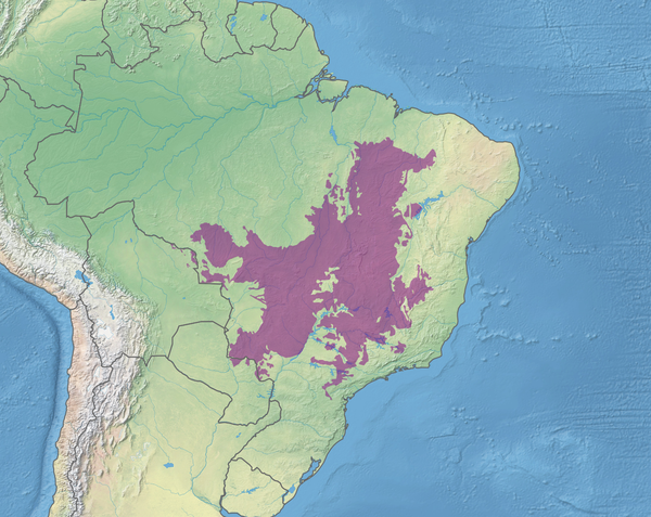 브라질 세라두 지역. 사진=위키피디아
