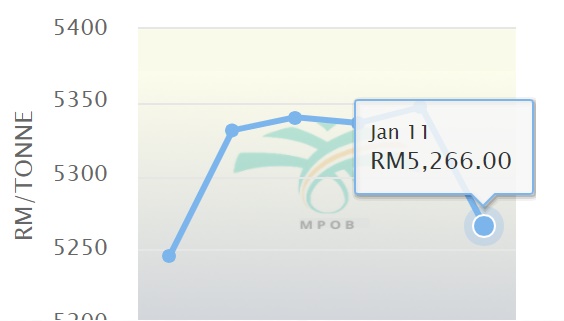 1월 4일부터 11일 현재까지 말레이상 팜오일 가격 추이. 4일 팜원유(CPO) 가격은 t당 5245.50링기트에서 상승하다 하락했다. 사진=MPOB
