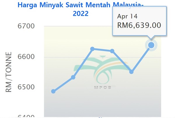 7일부터 14일까지 일주일간  말레이시아 팜원유(CPO) 가격 추이. CPO가격은 지난 7일 t당 6487.50링기트에서 14일 6639링기트로 상승했다. 사진=MPOB