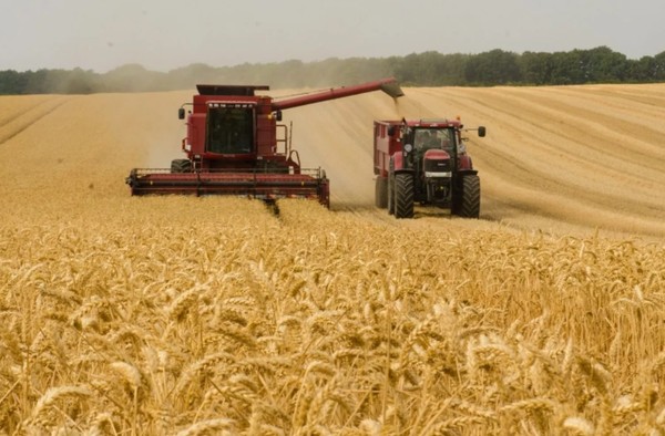 우크라이나 밀밭에서 농부들이 밀을 수확하고 있다. 사진=키이우 인디펜던트