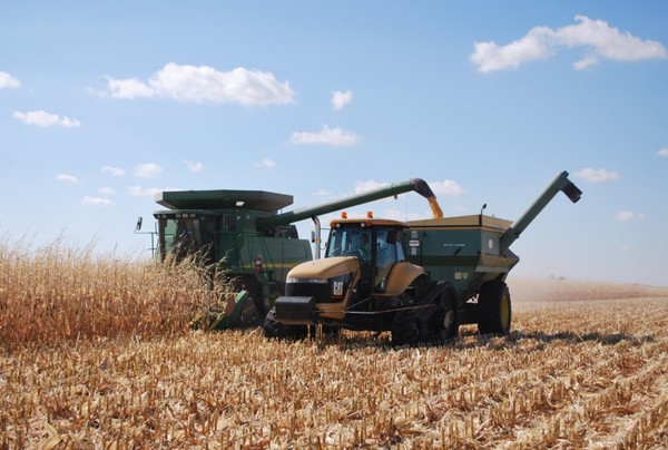 미국의 올해 옥수수 생산량이 파종면적 감소로 줄어들 것으로 예상됐다. 미네소타주 옥수수 농장에서 옥수수를 수확하고 있다. 사진=전미옥수수생산자협회