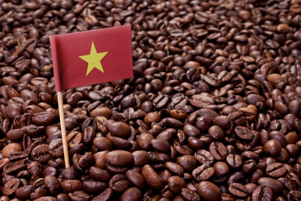 베트남산 로부스타 커피 원두. 사진=아시아컴닷브이엔