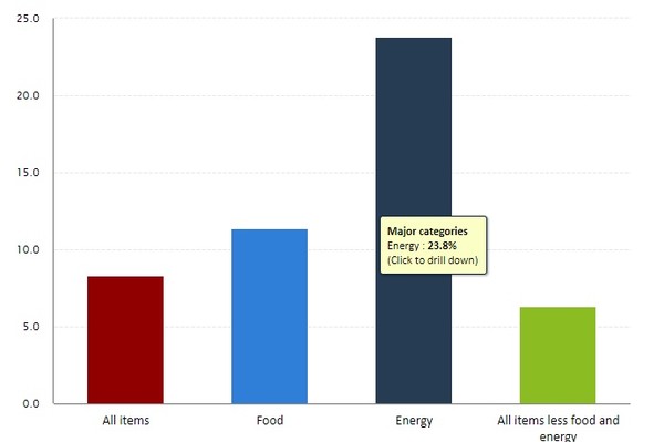 미국 8월 물가지수가 1년 전에 비해 8%상승했다. 식품은 11.4%,에너지는 23.8% 각각 상승했다. 주요 상승률. 사진=미국 노동부