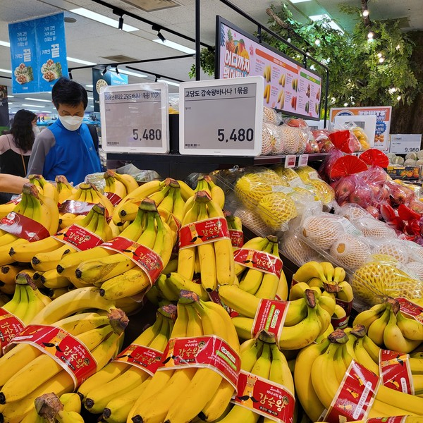 원달러 환율과 각국 물가상승이 겹치면서 수입 바나나 가격이 크게 올랐다. 서울 용산의 한 대형 마트에서 소비자들이 바나나를 살펴보고 있다. 사진=박준환 기자