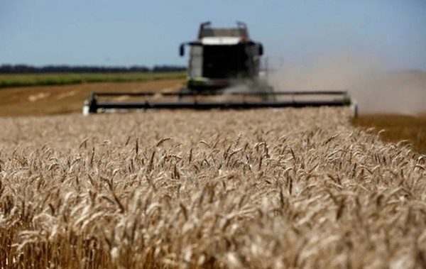 아르헨티나의 밀밭에서 농부가 밀을 수확하고 있다. 극심한 가뭄탓에 아르헨티나의 주력 수출 농산물인 밀과 콩의 수확량이 감소하면서 선물가격이 상승압력을 받고 있다.  사진=메르코프레스
