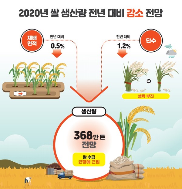 2020년 쌀 재배면적이 전년 대비  0.5% 감소해 연간 368만t을 생산하면서 수급균형에 접근할 것으로 한국농촌경제연구원이 전망했다. 사진=한국농촌경제연구원