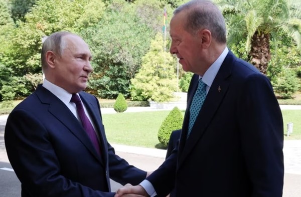 블라디미르 푸틴 러시아 대통령과 타이이프 에르도안 튀르키예 대통령이 4일 러시아 휴양도시 소치에서 만나 손을 맞잡고 있다. 두 정상은 흑해곡물협정 재개 여부를 논의한 것으로 알려졌다. 사진=VOA