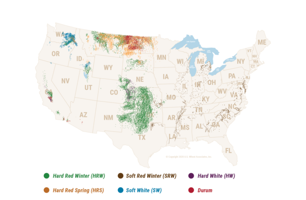 미국 밀 지도. 미국에서 재배되는 밀은 색상과 경도, 재배 철에 따라 6가지로 분류된다. 가장 많이 재배하는 밀이 녹색으로 표시된 경질 적색 겨울밀이다. 사진=미국밀협회