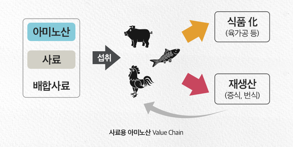 사료용 아미노산 밸류체인. 사진=CJ제일제당