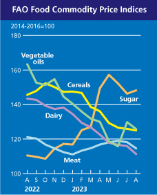 FAO 곡물가격 지수 추이. 설낭가격 지수만이 상승세를 보이고 있다. 사진=유엔식량농업기구(FAO)