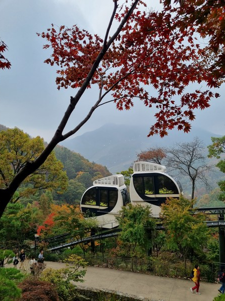 화담숲의 모노레일. 사진=이수영 기자
