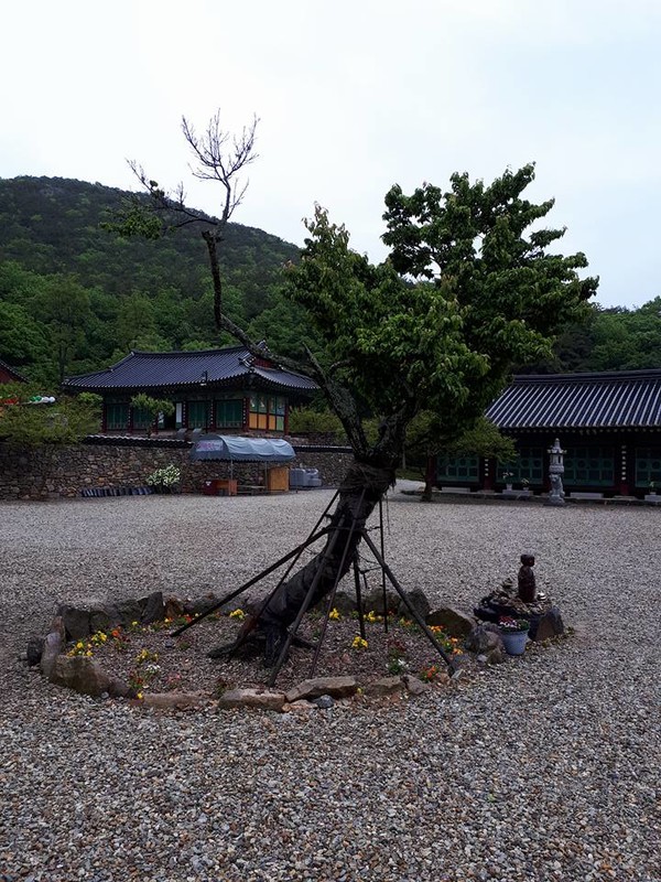 한적한 개암사 경내. 마음을 편안히 하고 생각하기에 좋은 사찰이다.사진=박태정 기자