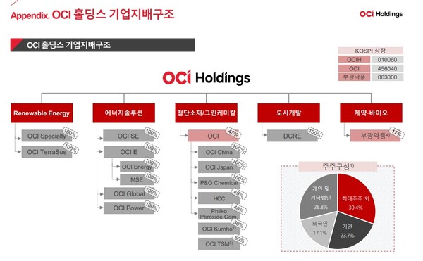 OCI홀딩스 기업지배구조. 사진=OCI홀딩스